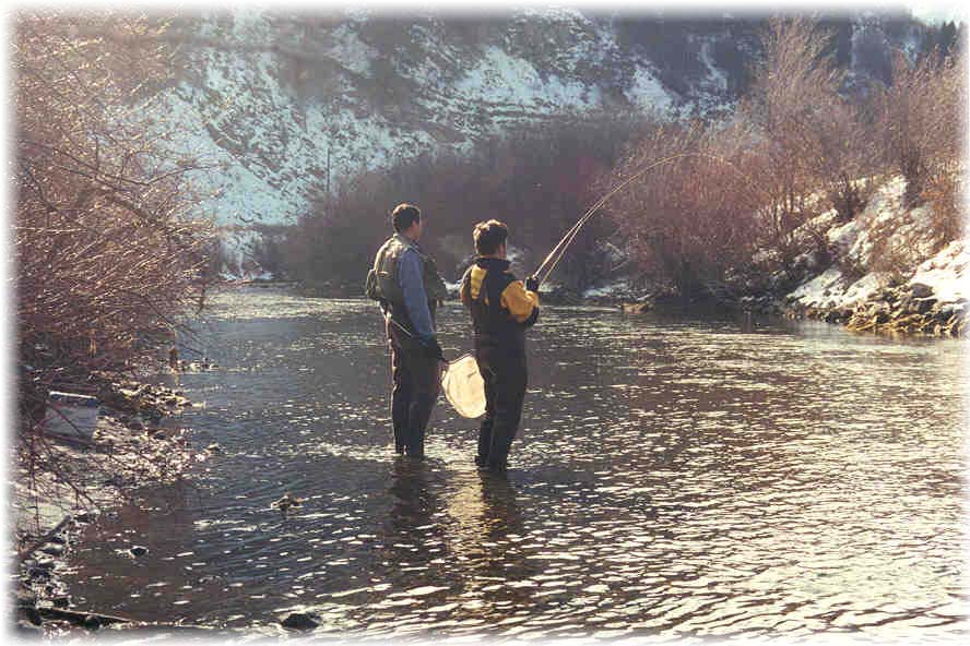 Utah Fly Fishing Guides